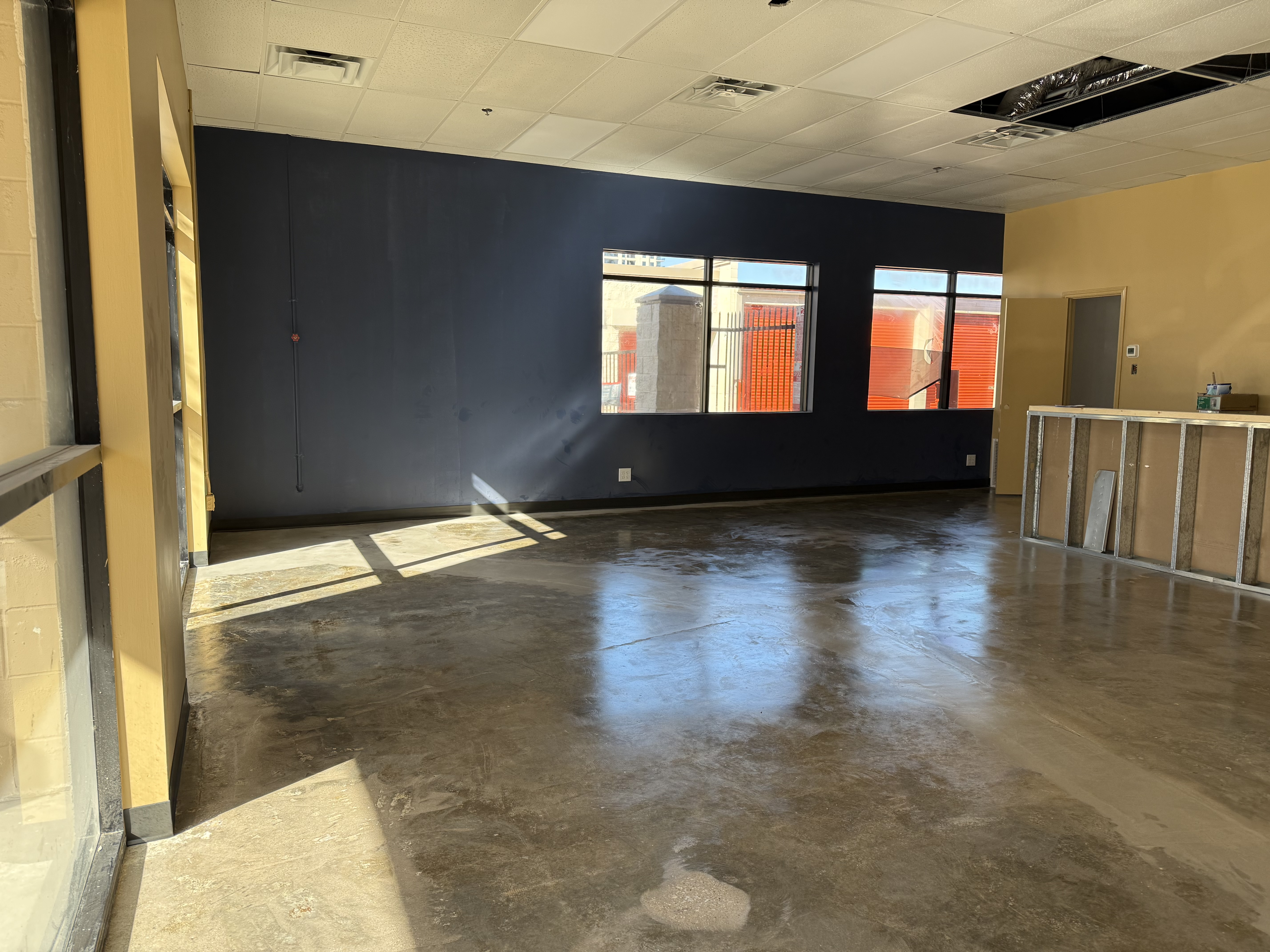 Navy walls and polished concrete floors