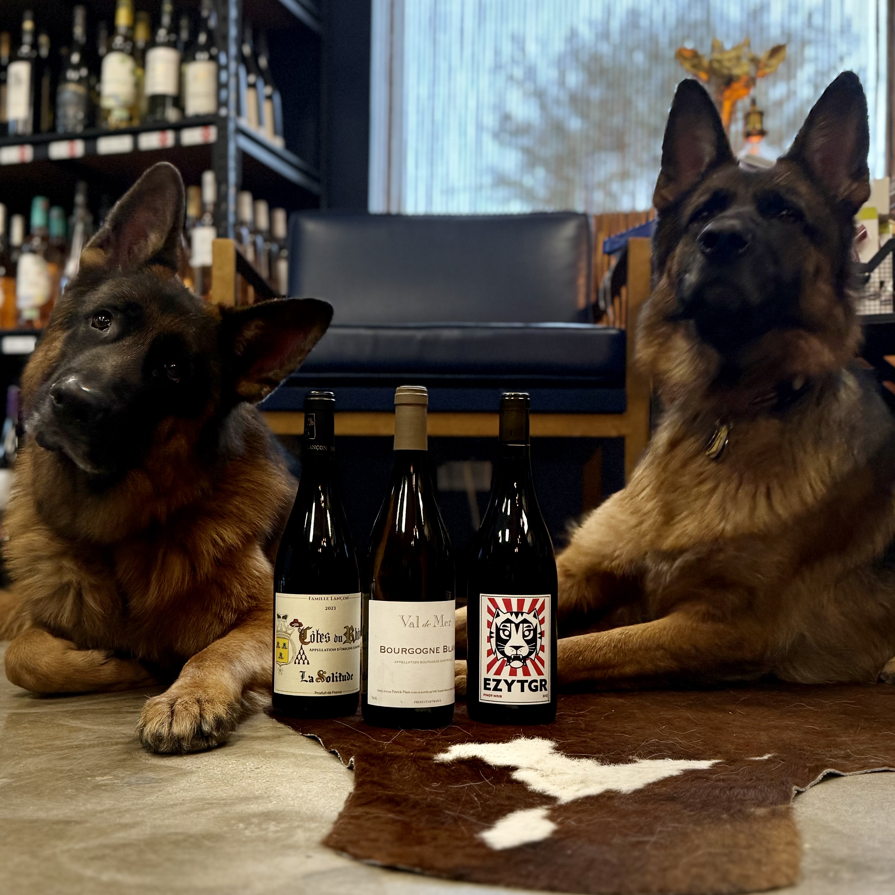 The dogs